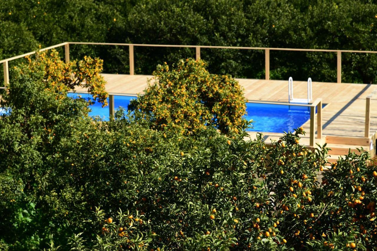 Giardino Arancio Bed & Breakfast Giarre Exterior photo