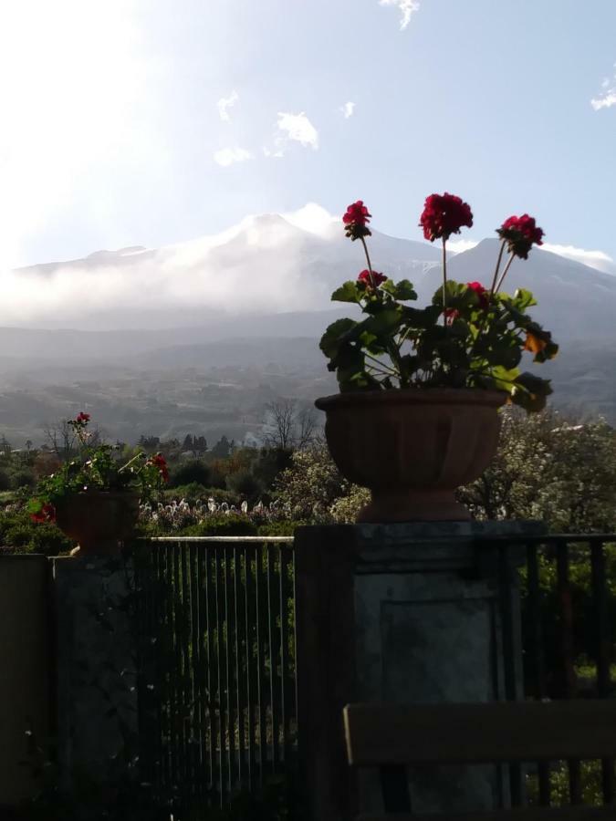 Giardino Arancio Bed & Breakfast Giarre Exterior photo