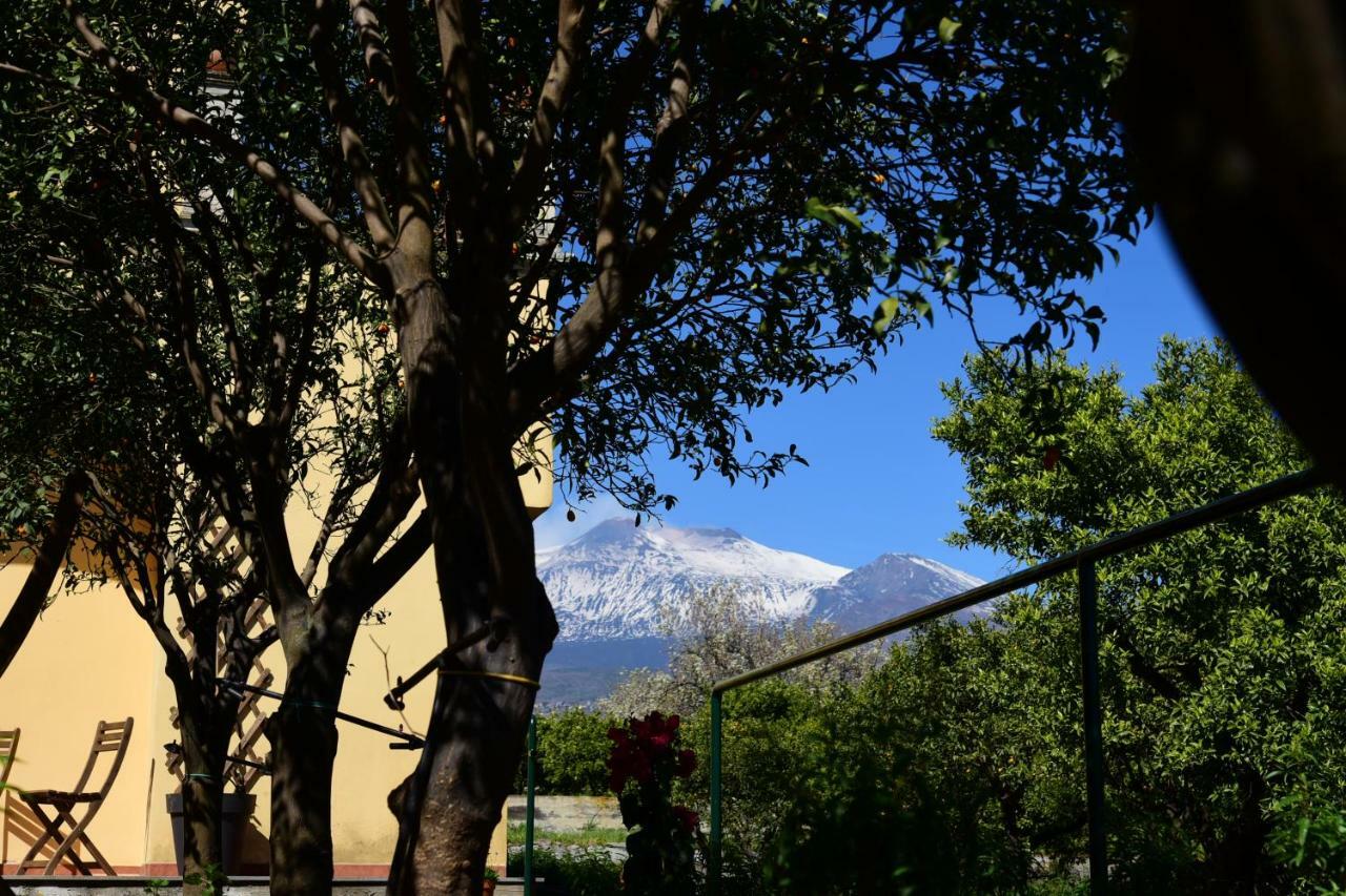Giardino Arancio Bed & Breakfast Giarre Exterior photo