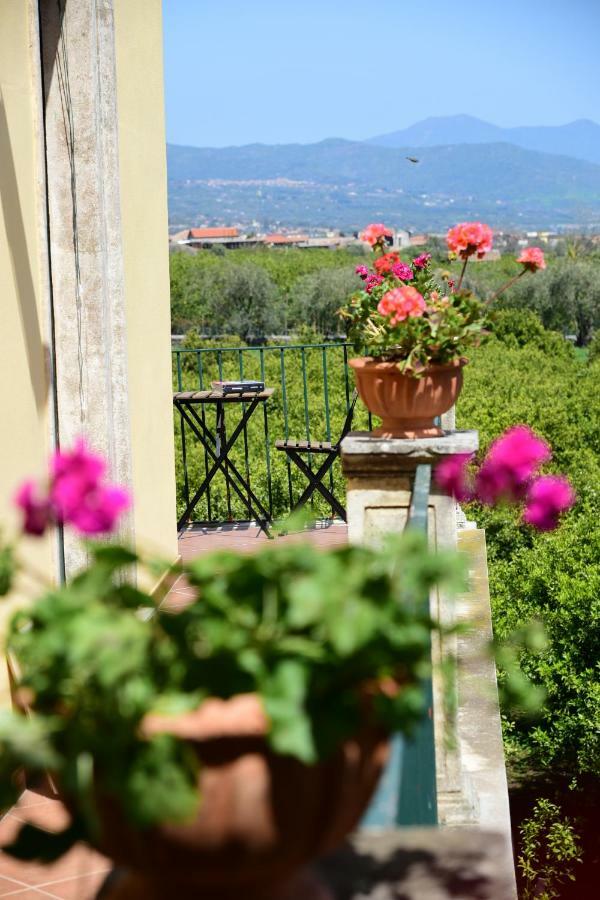 Giardino Arancio Bed & Breakfast Giarre Exterior photo